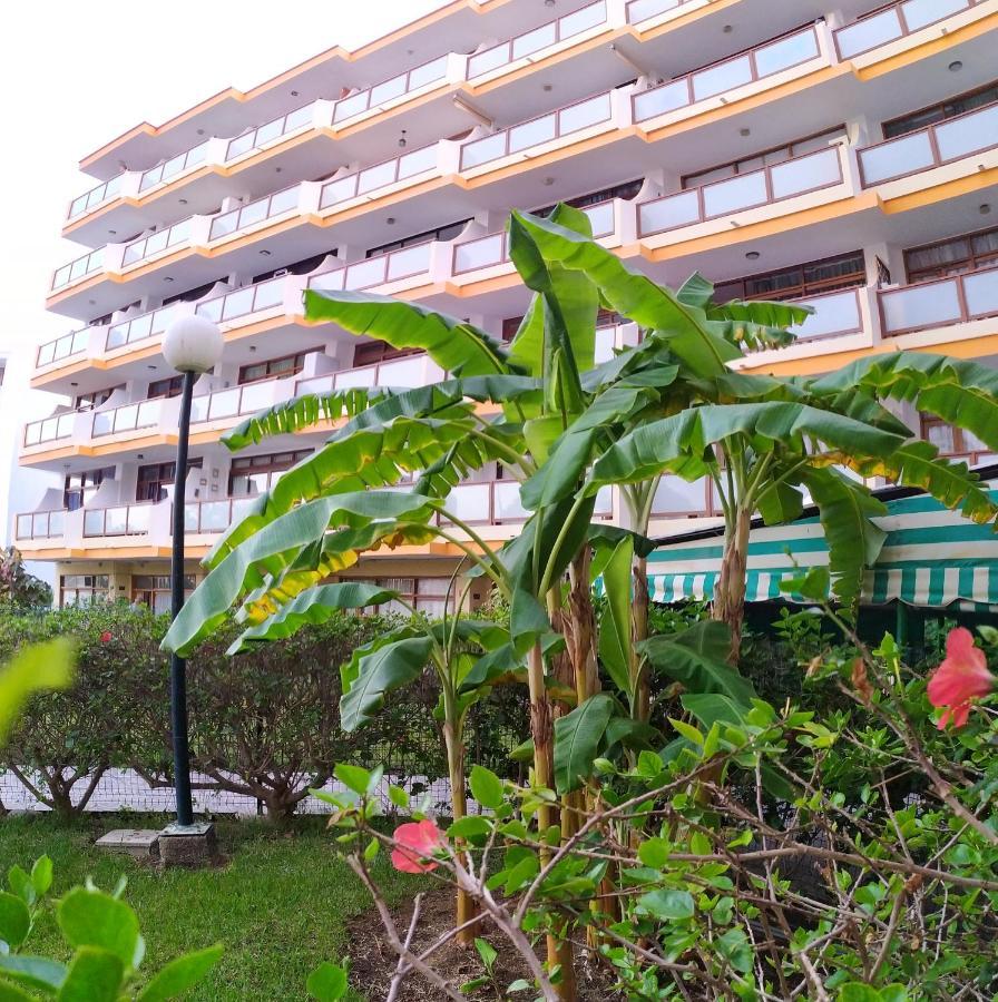 Australia Appartement *